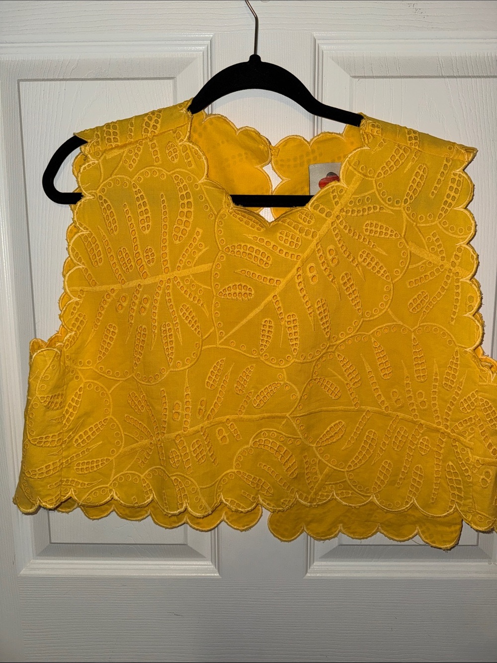 FARM Rio Yellow Scalloped Eyelet Cropped Camisole - Picture 7 of 8
